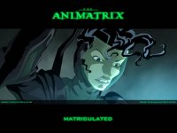 fond d'cran du film Animatrix