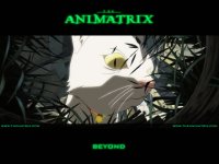 fond d'cran du film Animatrix